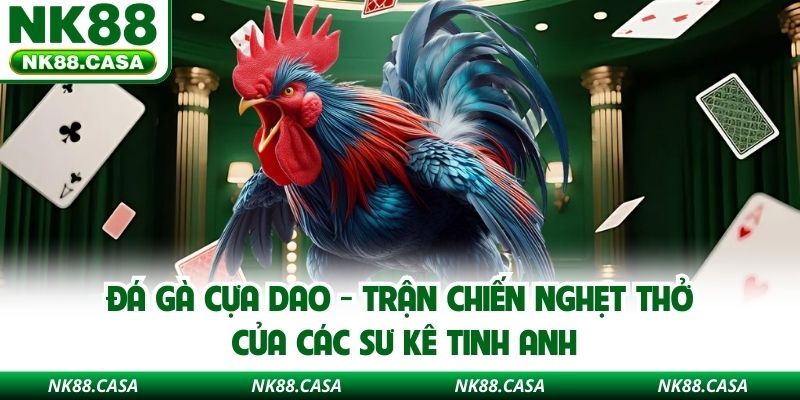 Đá Gà Cựa Dao - Trận Chiến Nghẹt Thở Của Các Sư Kê Tinh Anh