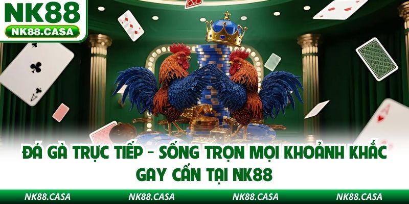 Đá Gà Trực Tiếp - Sống Trọn Mọi Khoảnh Khắc Gay Cấn Tại NK88